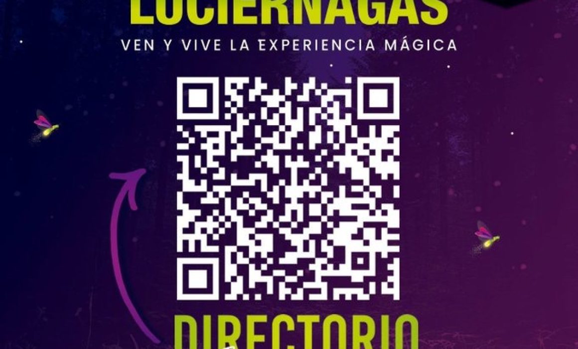 Amecameca celebra la llegada del Festival de las Luciérnagas para potenciar el turismo y la conservación