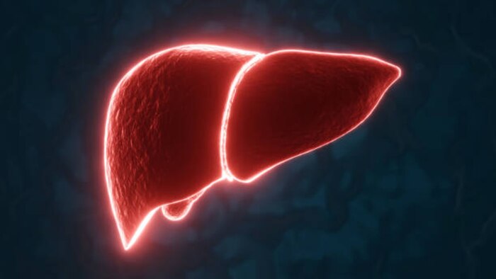 Arándanos ayudan a regenerar el hígado de forma natural mediante su alto contenido de antioxidantes