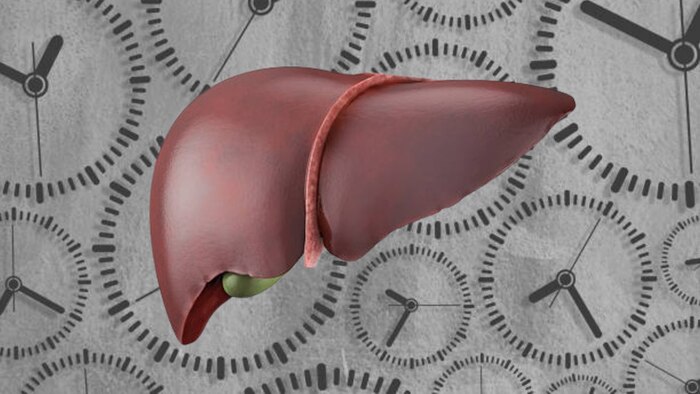 Ayuno prolongado: riesgos y beneficios para la salud hepática, según expertos