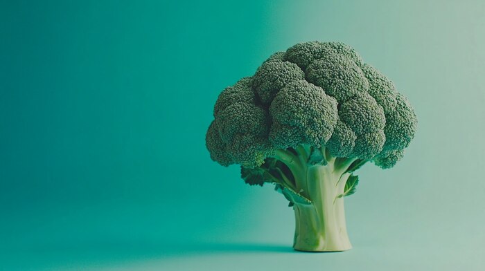 Brócoli, un alimento clave en la alimentación saludable por su perfil nutricional