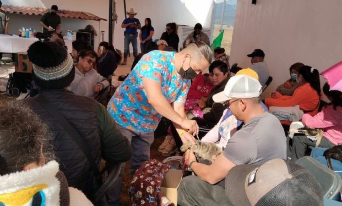 ¿Cómo Amecameca Superó las 1,9 Mil Esterilizaciones y Transformó su Comunidad Animal?