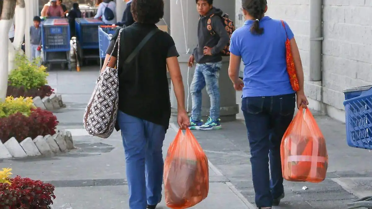 ¿Cómo la prohibición de plásticos en Edomex está poniendo en jaque a pequeños negocios?