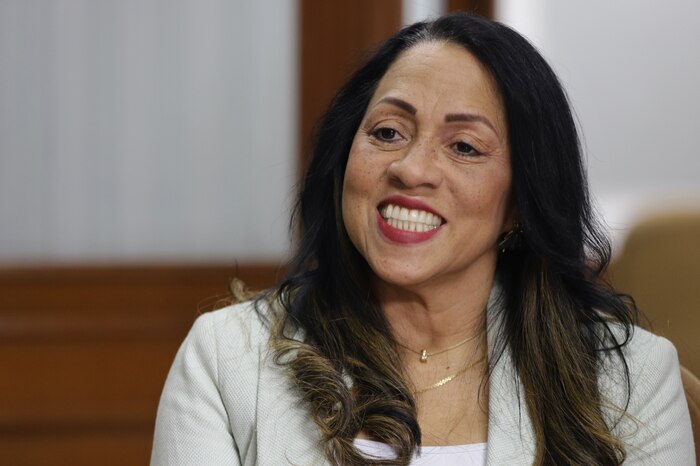 CNE revoca candidatura al Senado de Marelen Castillo por presunta doble militancia y cambio en status político