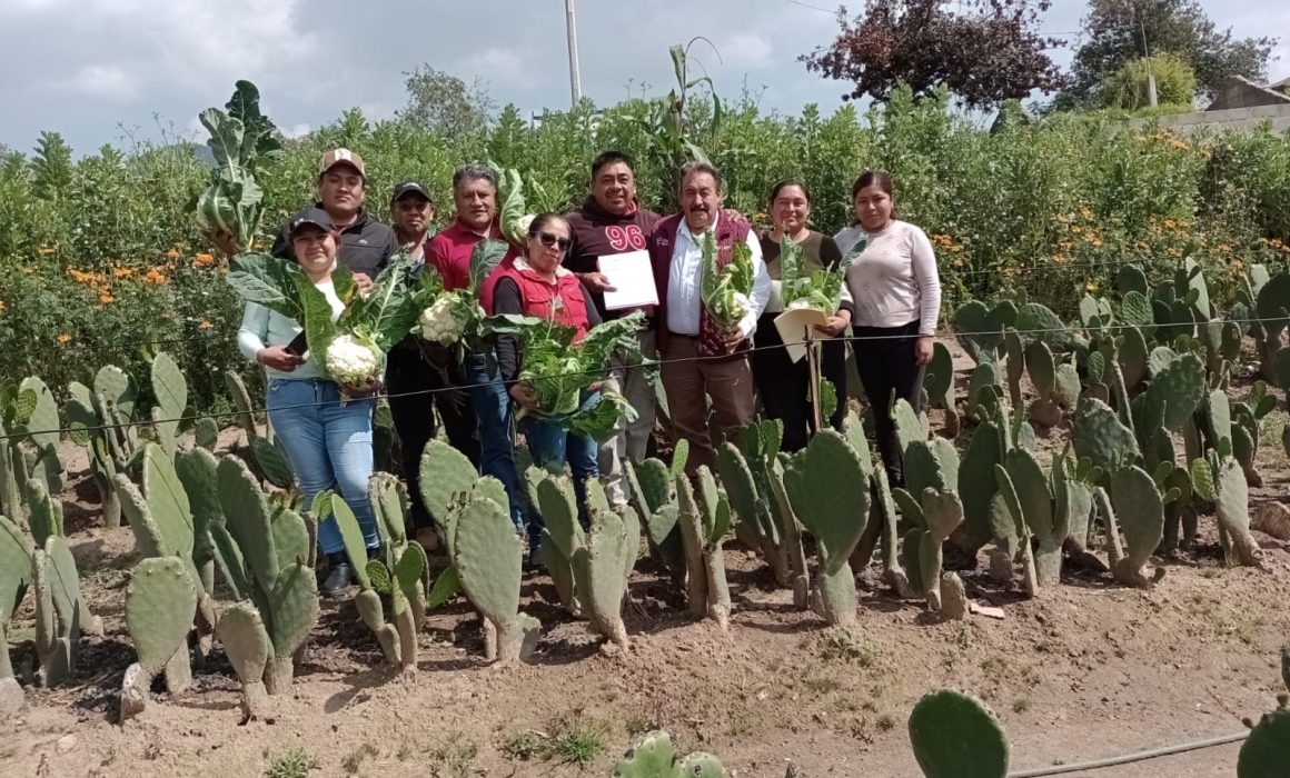 Celebremos el Día del Nopal: un alimento ancestral que impulsa la economía del Estado de México