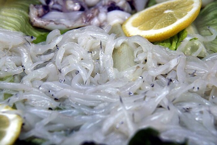 Chefs españoles critican la decisión de no proteger la anguila europea y alertan sobre su riesgo de extinción