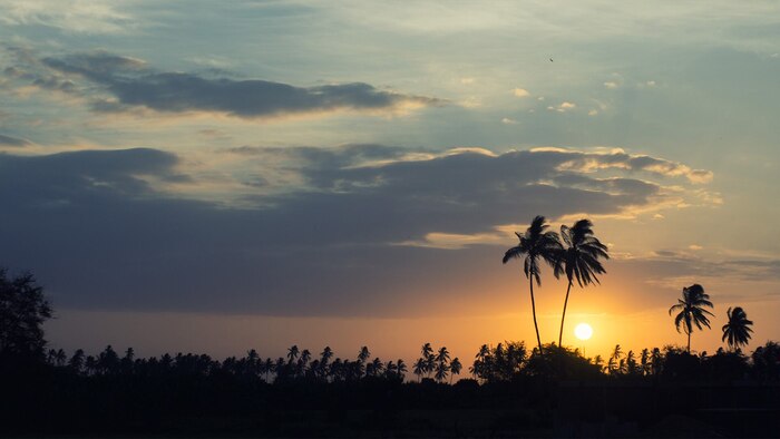 Clima en Piura para este 31 de enero: pronóstico con altas temperaturas y probables lluvias