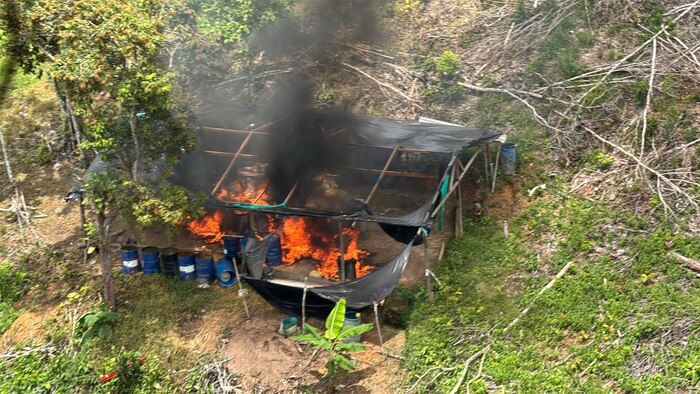 Colombia y Ecuador lanzan ofensiva binacional para combatir el narcotráfico en la frontera