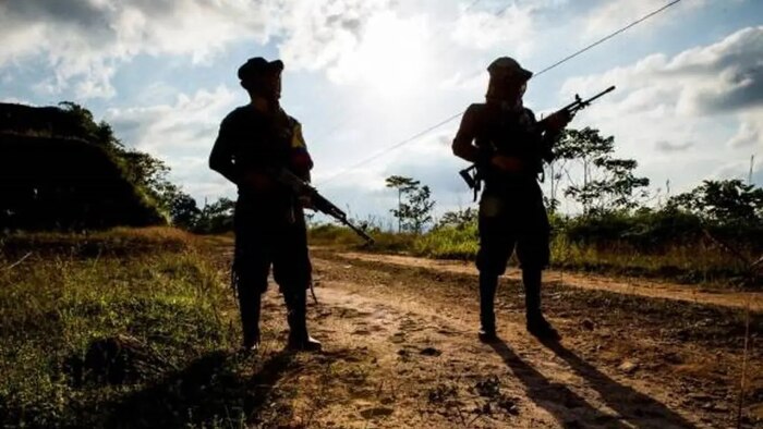 Comité advierte riesgos humanitarios en Colombia y llama a blindar la paz en futuros gobiernos