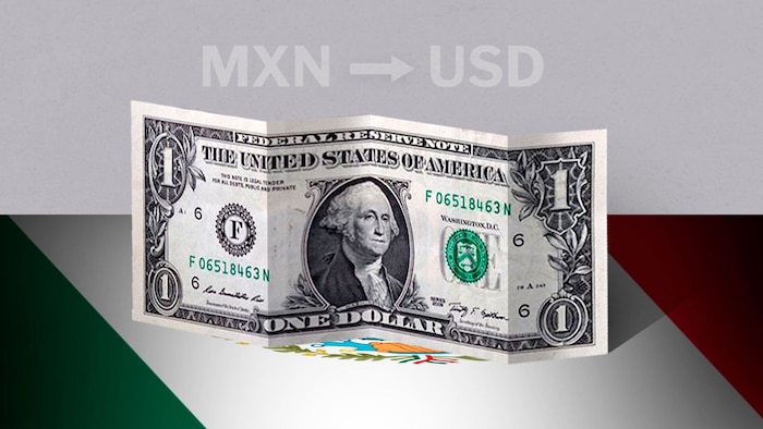 Cotización del dólar hoy 20 de febrero en México: apertura y proyecciones