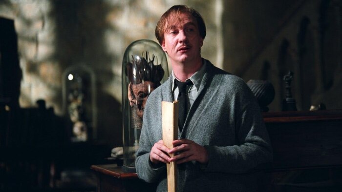 David Thewlis confirma que no planea regresar a la franquicia de Harry Potter