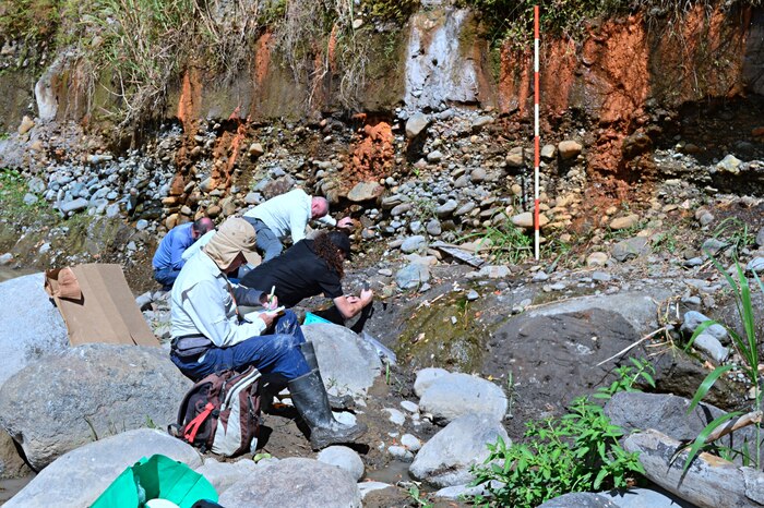 Descubren fósiles de mastodonte y perezoso gigante en Cartago, Costa Rica