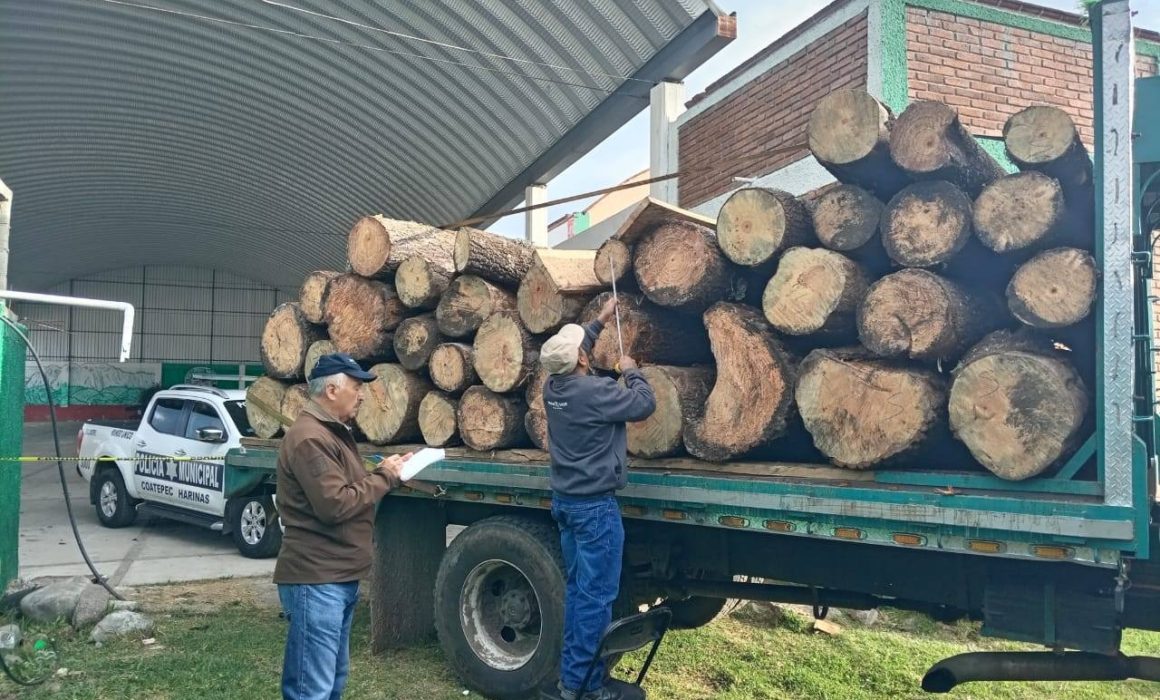 ¡Detectan y decomisan camión con 36 rollos de madera ilegal en Coatepec Harinas!