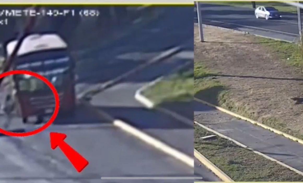 Difunden video de mujer que falleció tras caer de camión en Metepec