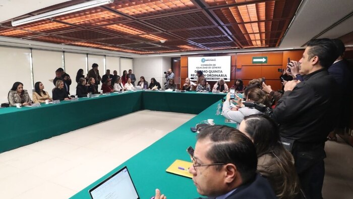 Diputados mexicanos se pronuncian sobre caso de mujer procesada por violencia vicaria en Coahuila
