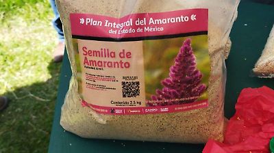 Edomex impulsa el cultivo de amaranto con concurso y plan estratégico para fortalecer su producción