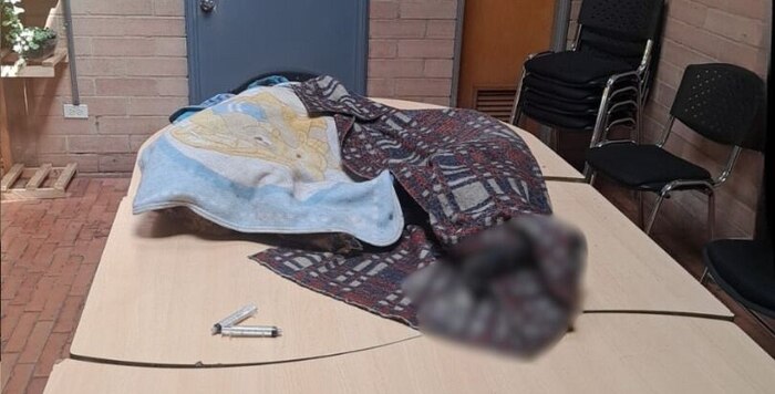 Enferman y mueren perros en colegio del sur de Bogotá por presunto envenenamiento