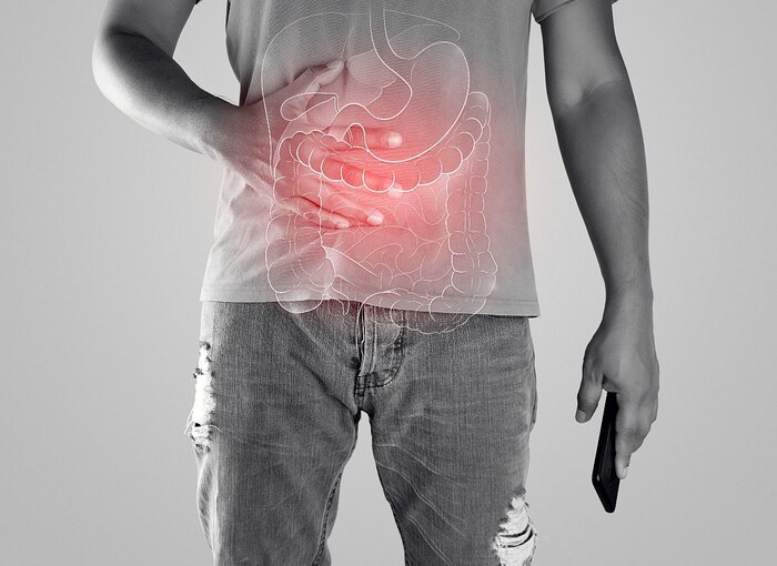 Estudio revela que el ayuno intermitente reduce los síntomas de Crohn y mejora la salud intestinal