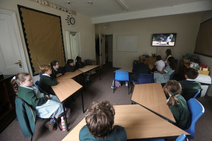 Estudios en EE.UU. revelan disminución en la atención de estudiantes de cine durante las películas