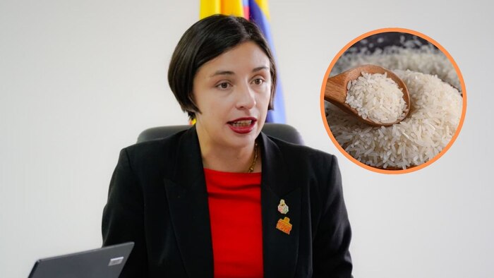 Gobierno de Colombia establece precios regulados y apoyo económico para la cosecha de arroz 2026