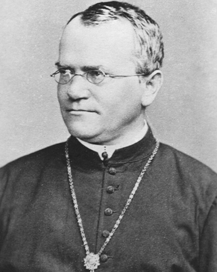 Gregor Mendel, el padre de la genética, cultivó arvejas en su monasterio y revolucionó la biología moderna