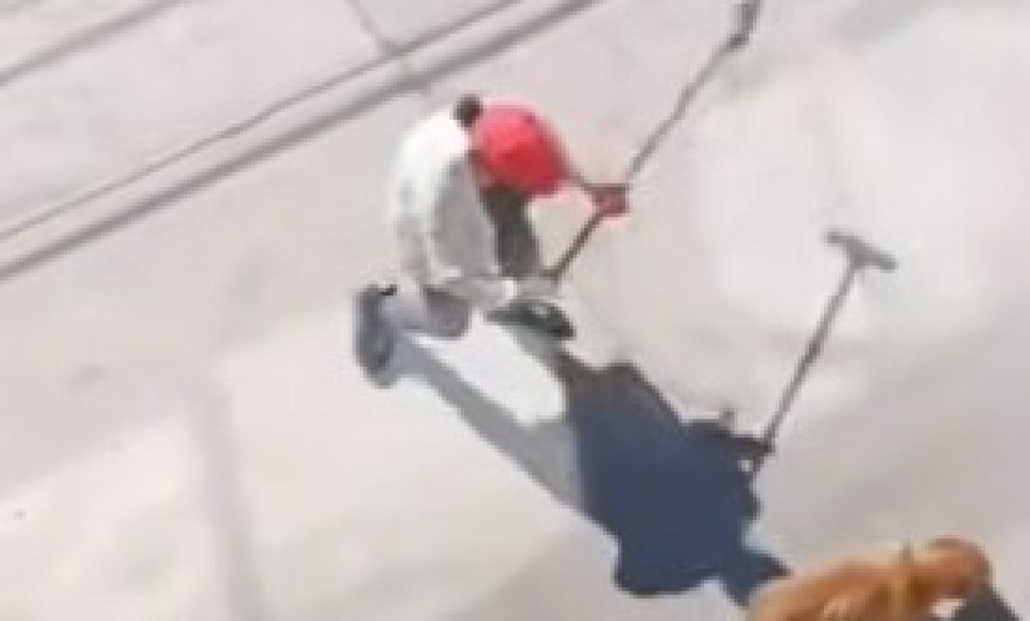 ¿Hasta cuándo seguirá el maltrato animal en Ixtapaluca? La denuncia que exige justicia