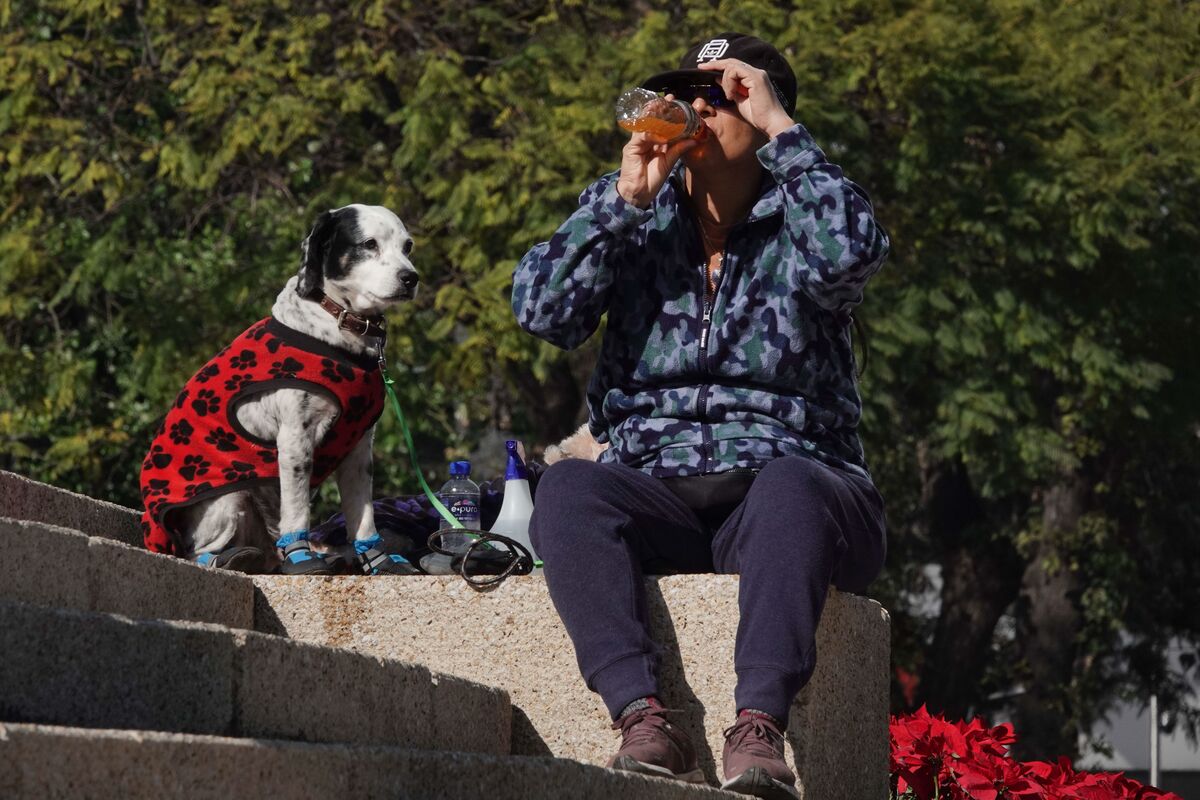 ¿Heladas y calor en un mismo día? Descubre el clima contrastante en Edomex este lunes