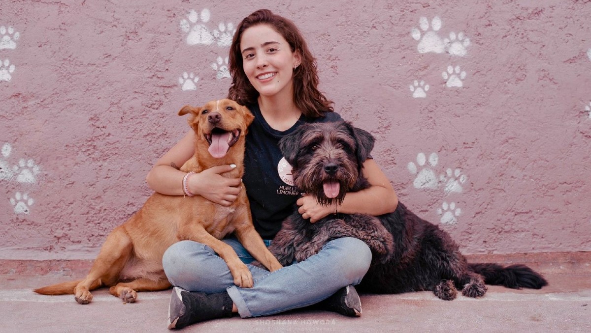 Huellitas Limoneros: La Última Esperanza para Perros Callejeros en Edomex