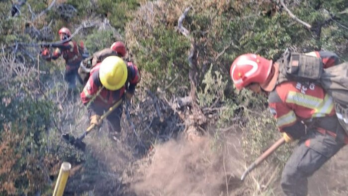 Incendios en Chubut consumen más de 40 mil hectáreas mientras se esperan lluvias para aliviar la emergencia