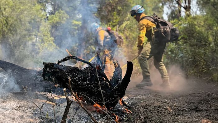 Incendios en Chubut se reavivan por el viento y amenazan zonas habitadas