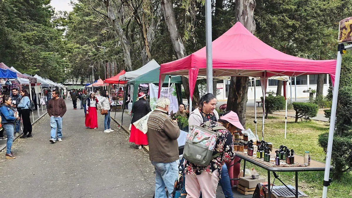 ¡Increíble! Cómo Mercadito Verde se convirtió en el motor de los emprendedores locales en 2025
