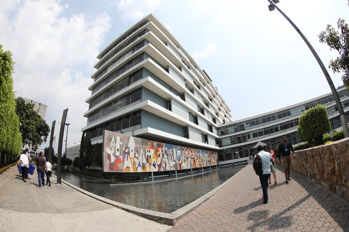 Instituto Guatemalteco de Seguridad Social aplicará condonación de recargos a patronos y municipalidades para regularizar deudas