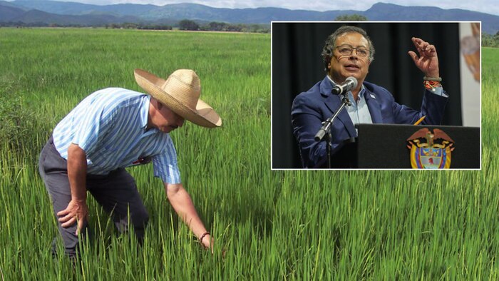 Líder agrícola critica duramente los subsidios al arroz y alerta sobre la crisis climática en Colombia