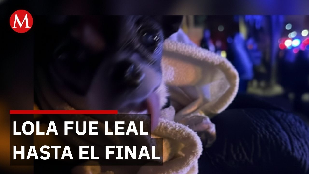 La trágica doble y la víctima inocente: ¿Qué secreto escondía el agresor?