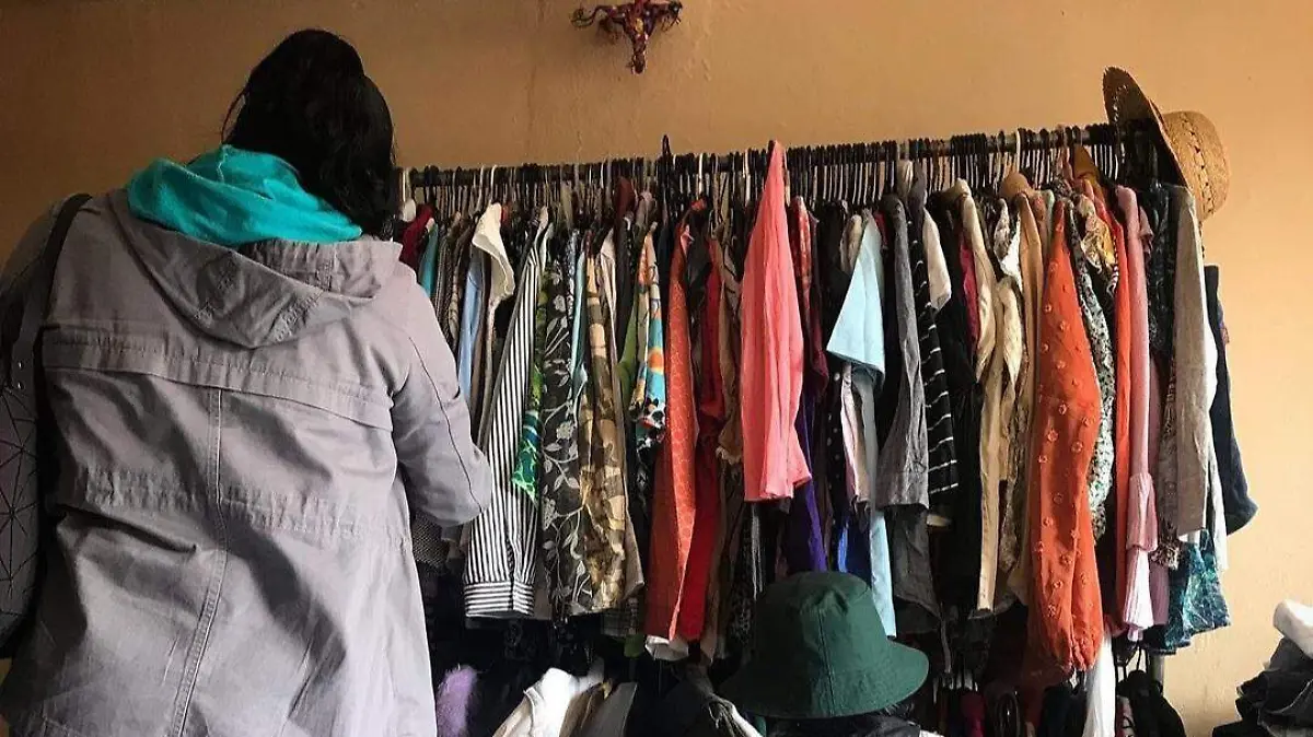 ¿Listo para el Primer Trueque Verde en Toluca? Este Domingo te Sorprenderá