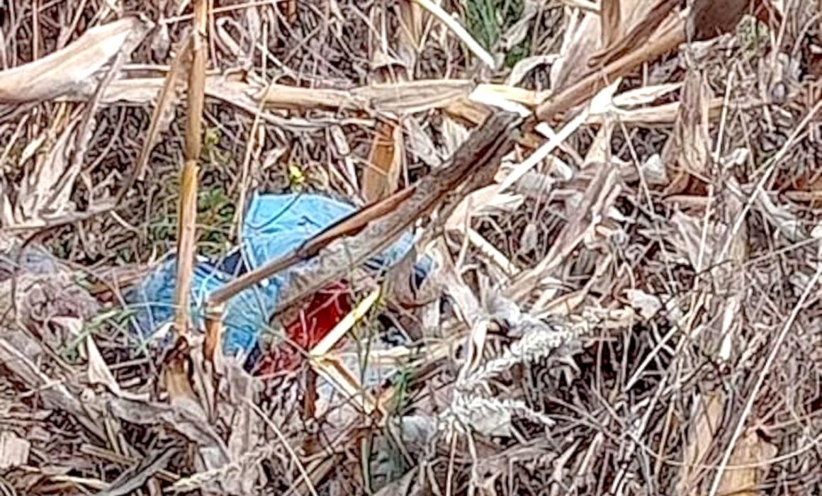 Lo matan brutalmente y abandonan su cuerpo en un sembradío en Tenango del Valle: la impactante historia de un joven desconocido