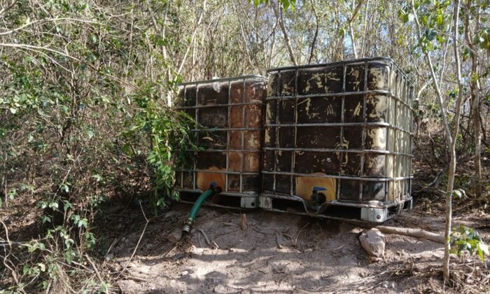 Marina localiza campamento de huachicol en Escuinapa, Sinaloa, y asegura armas y vehículos