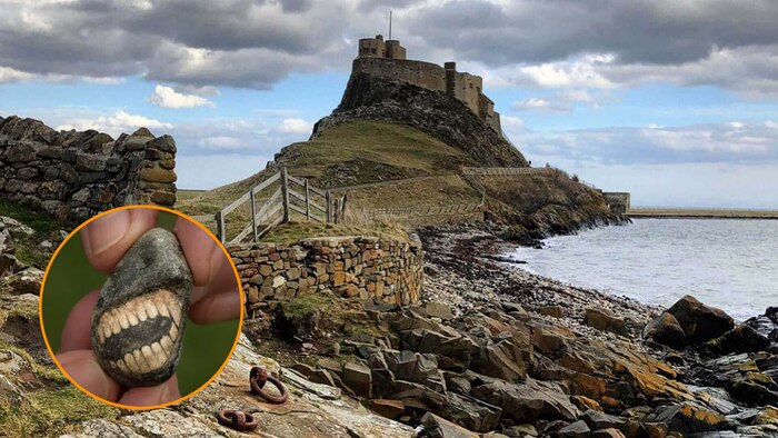 Mujer descubre fósil de hace 500 millones de años en la playa de Lindisfarne