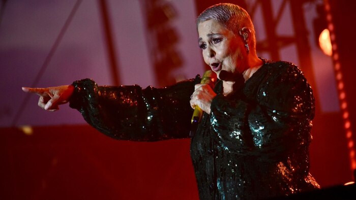 Nieto de Lupita D’Alessio resulta con mordedura de tiburón en playa de Tulum y genera alarma por presencia de estos animales