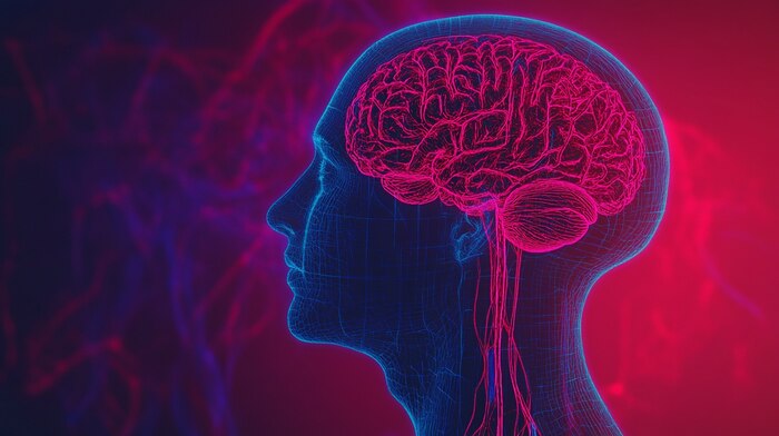 Olas de calor aumentan riesgos para la salud cerebral y provocan alteraciones cognitivas