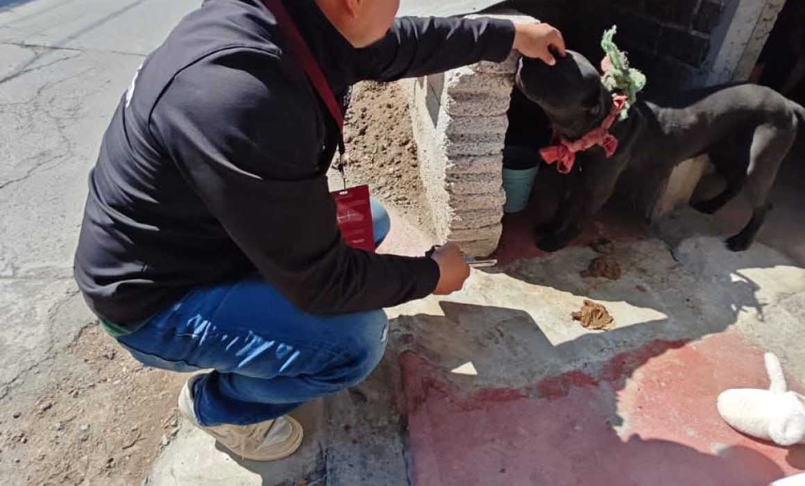 PROPAEM atiende denuncia por maltrato animal en Ecatepec y rescata a un perro en riesgo