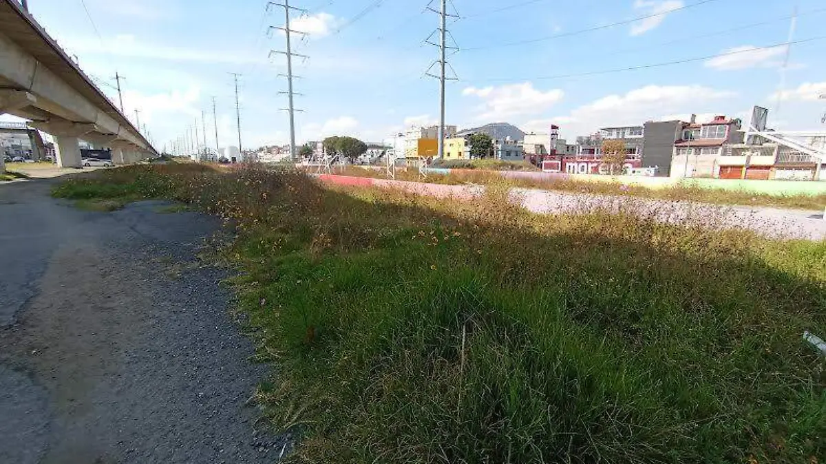 ¿Por qué el abandono de áreas verdes en Las Torres aumenta la sensación de inseguridad?