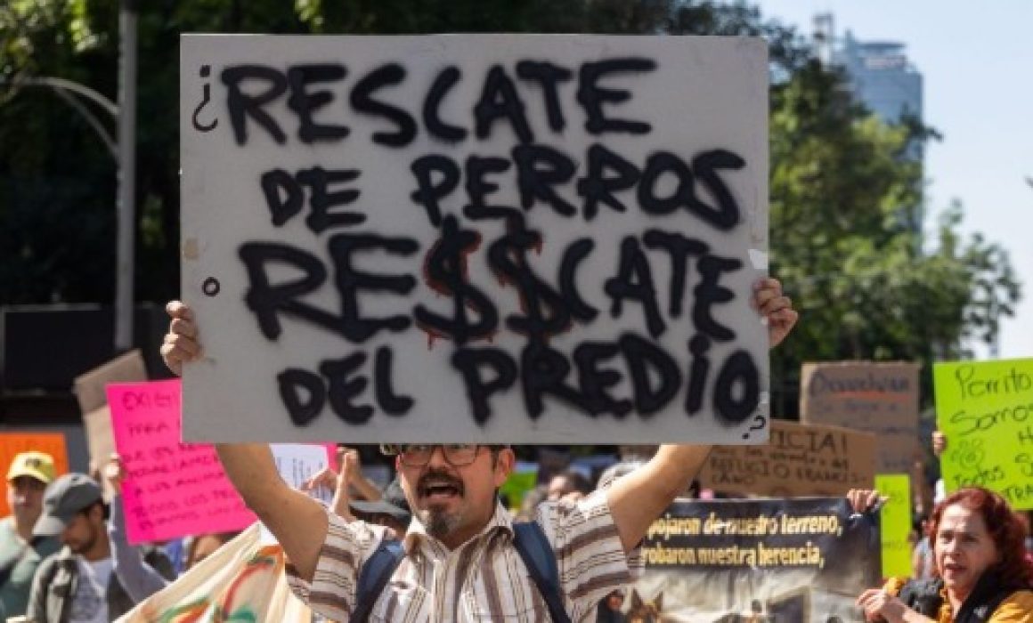 ¿Por qué la Fundación Haghenbeck rechazó un refugio digno en Xalatlaco? La polémica en torno a una decisión que impacta a decenas de perros