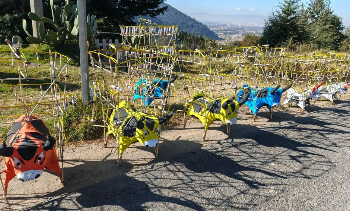¿Por qué los toritos de pirotecnia en Toluca-Naucalpan definen la celebración de Año Nuevo en el Estado de México?