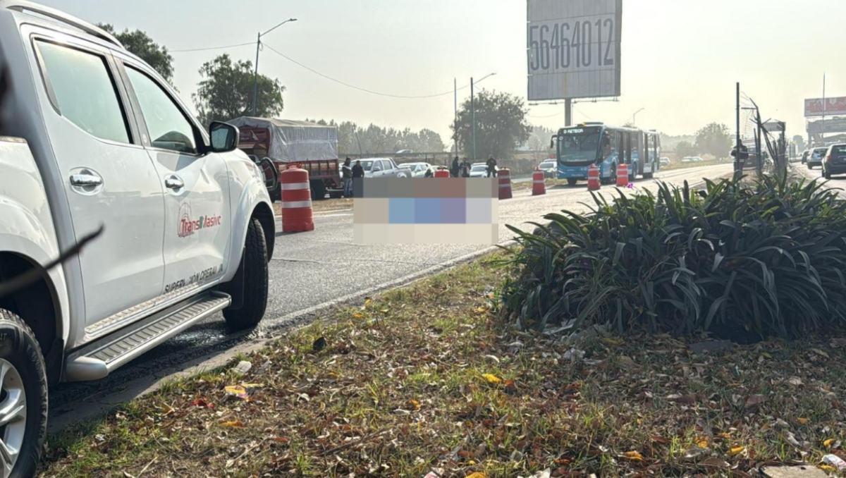 ¿Qué ocurrió en Ecatepec? La trágica noche en los carriles del Mexibús que conmocionó a la localidad
