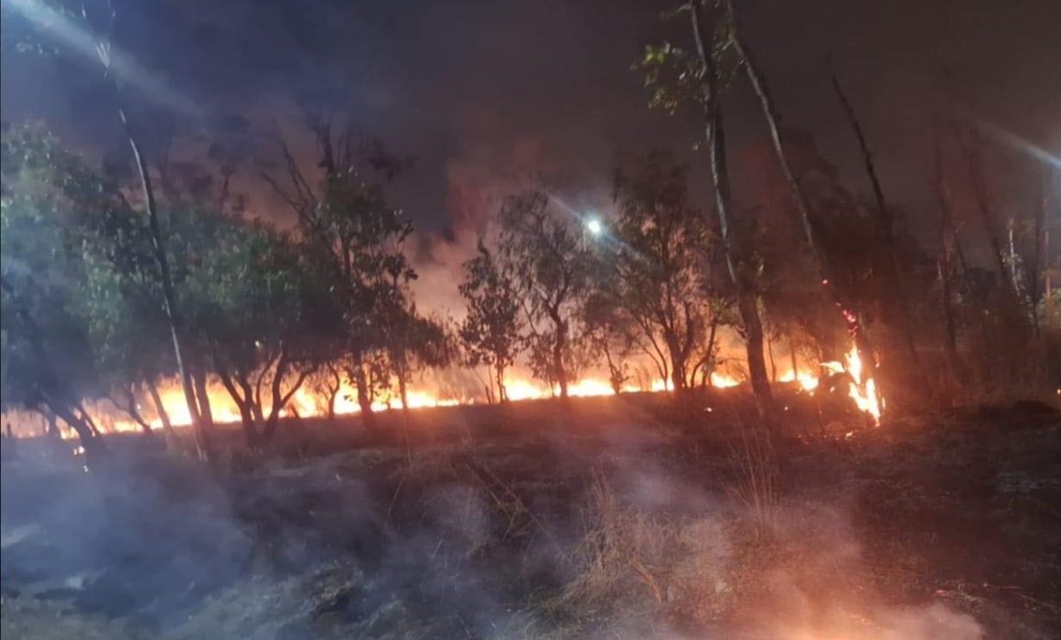 ¿Qué provocó el voraz incendio en el Parque Colibrí de Cuautitlán Izcalli? La respuesta te sorprenderá
