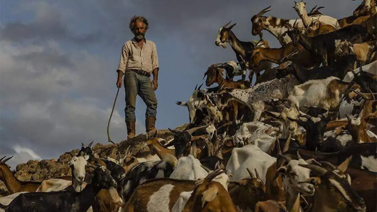 ¿Qué revela la historia familiar de Jorge Hernández Aldana en su nueva película 'La sombra del Catire'?