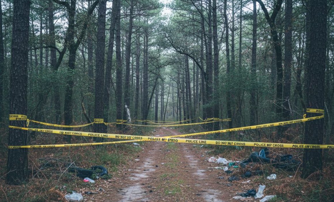 ¿Qué revelan los restos calcinados y maniatados encontrados en Zinacantepec? La escalofriante historia tras el hallazgo