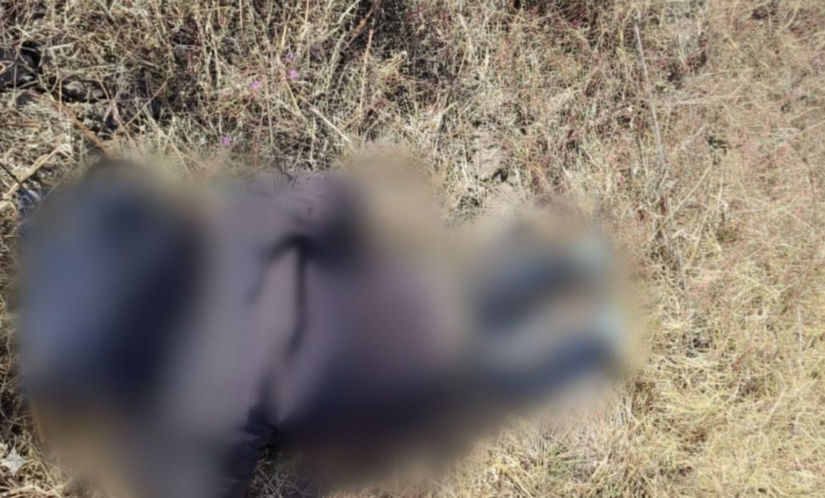 ¿Qué secreto esconden los 2 cuerpos hallados en menos de 24 horas en Nicolás Romero?