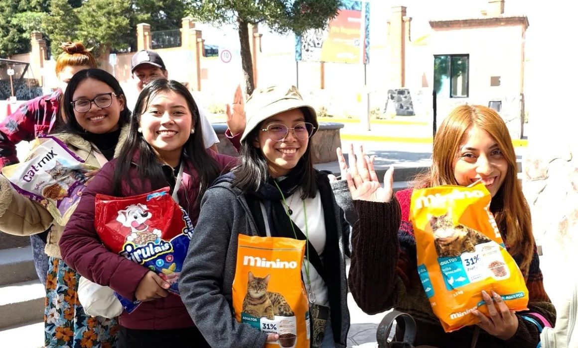 ¿Quieres entrar gratis a Zacango este 6 de diciembre? Solo lleva croquetas para mascotas