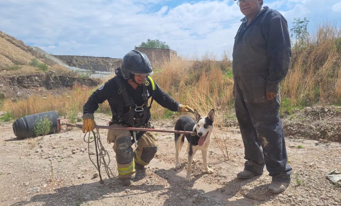 Rescatan a perro que cayó desde un acantilado en Texcoco